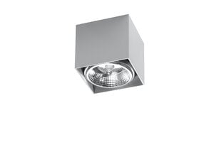 Sollux потолочный светильник Blake Grey цена и информация | Люстры | 220.lv