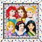 Puzle ar rāmīti Clementoni Disney Princess, 60 d. cena un informācija | Puzles, 3D puzles | 220.lv