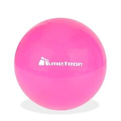 Bumba Meteor Pink, 20 cm цена и информация | Гимнастические мячи | 220.lv