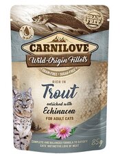 Carnilove Trout Echinacea 85g Kaķiem cena un informācija | Carnilove Zoo preces | 220.lv