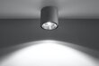 Sollux griestu lampa Tiube Grey cena un informācija | Griestu lampas | 220.lv