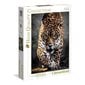 Puzle Clementoni High Quality Leoparda solis, 1000 d. cena un informācija | Puzles, 3D puzles | 220.lv