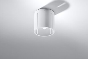Sollux lampa Inez цена и информация | Потолочные светильники | 220.lv