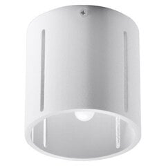 Sollux lampa Inez цена и информация | Потолочный светильник | 220.lv