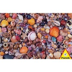 Puzle Piatnik Jūras gliemežvāki, 1000 d. cena un informācija | Puzles, 3D puzles | 220.lv