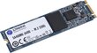 Kingston SA400M8/480G цена и информация | Iekšējie cietie diski (HDD, SSD, Hybrid) | 220.lv