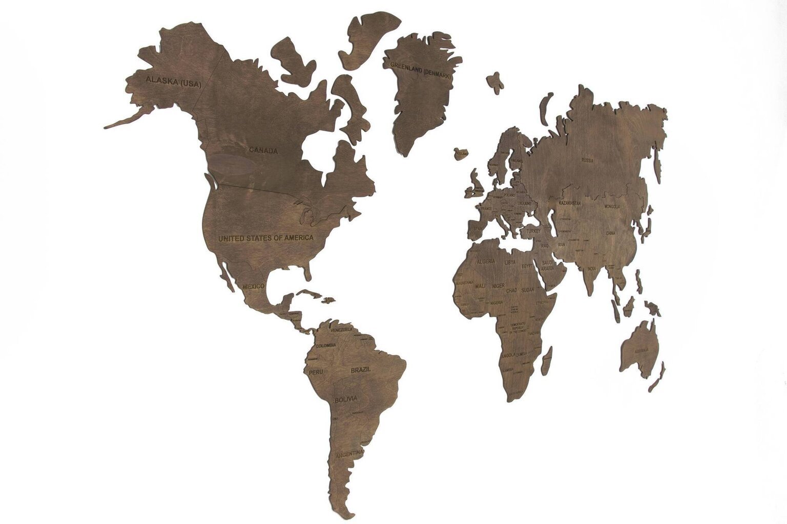 Koka pasaules karte cena un informācija | Gleznas | 220.lv