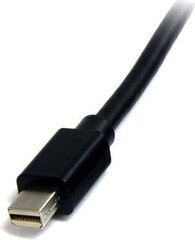 StarTech, DisplayPort Mini - DisplayPort Mini, 1 m cena un informācija | Kabeļi un vadi | 220.lv
