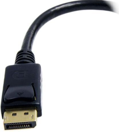 StarTech DP2DVI2 adapteris цена и информация | Adapteri un USB centrmezgli | 220.lv