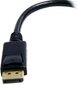 StarTech DP2DVI2 adapteris cena un informācija | Adapteri un USB centrmezgli | 220.lv