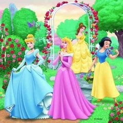 Puzle Ravensburger Disney Princess 3 x 49 daļas cena un informācija | Puzles, 3D puzles | 220.lv