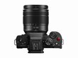 Panasonic Lumix G DC-G100M (110) + 12-60mm(H-FS12060) (Black) cena un informācija | Digitālās fotokameras | 220.lv