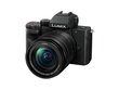 Panasonic Lumix G DC-G100M (110) + 12-60mm(H-FS12060) (Black) цена и информация | Digitālās fotokameras | 220.lv