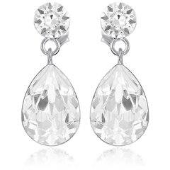 Серьги Angelin Xirius Fancy Pear цена и информация | Серьги | 220.lv