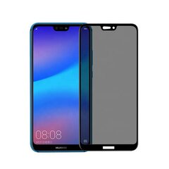 Защитное стекло Tempered Glass для SAMSUNG GALAXY A40/A20E PRIVACY  цена и информация | Защитные пленки для телефонов | 220.lv