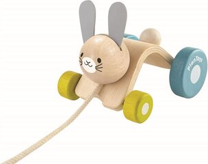 Игрушка на веревочке PlanToys Hopping Rabbit цена и информация | Plan Toys Товары для детей и младенцев | 220.lv