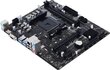 Pamatplate|BIOSTAR|AMD B550|SAM4|MicroATX|Atmiņa DDR4|Atmiņas slots 2|2xPCI-Express 3.0 1x|1xPCI-Express 4.0 16x|1xM.2|1x15pin D-sub|1xHDMI|2xUSB 2.0| cena un informācija | Mātesplates | 220.lv