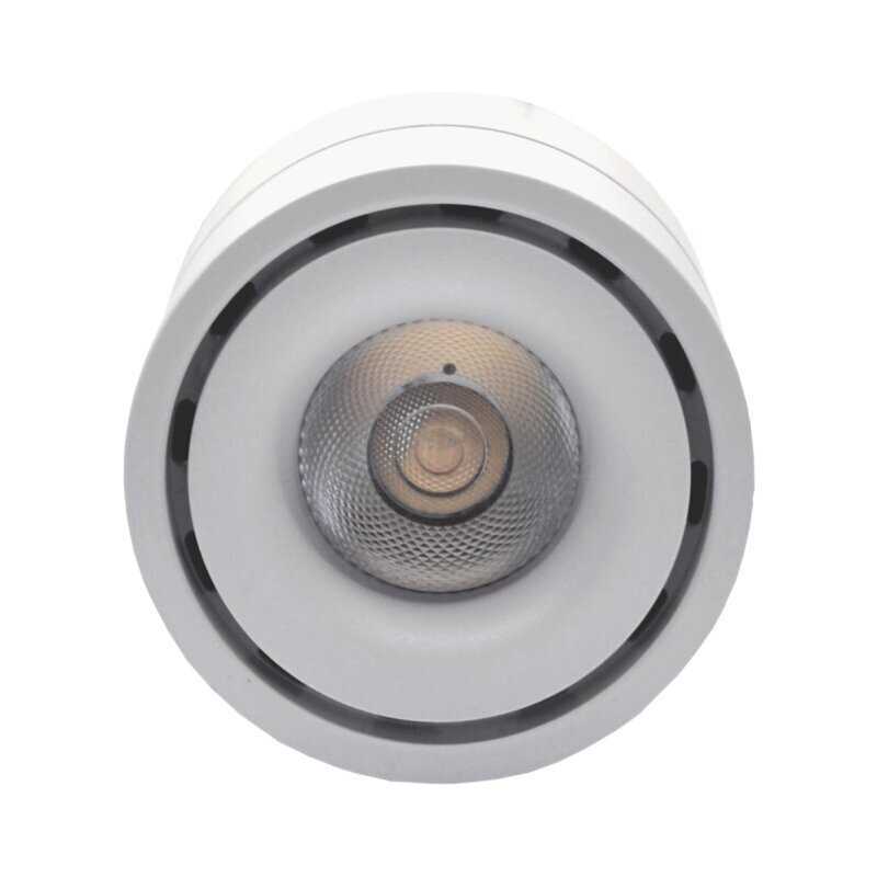 Prožektorveida balta LED lampa "OSLO" 15W цена и информация | Griestu lampas | 220.lv