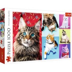 Puzle Trefl Happy Cats 1000 d. цена и информация | Пазлы | 220.lv