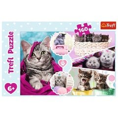 Puzle Trefl Cute Cats, 160 d. cena un informācija | Puzles, 3D puzles | 220.lv