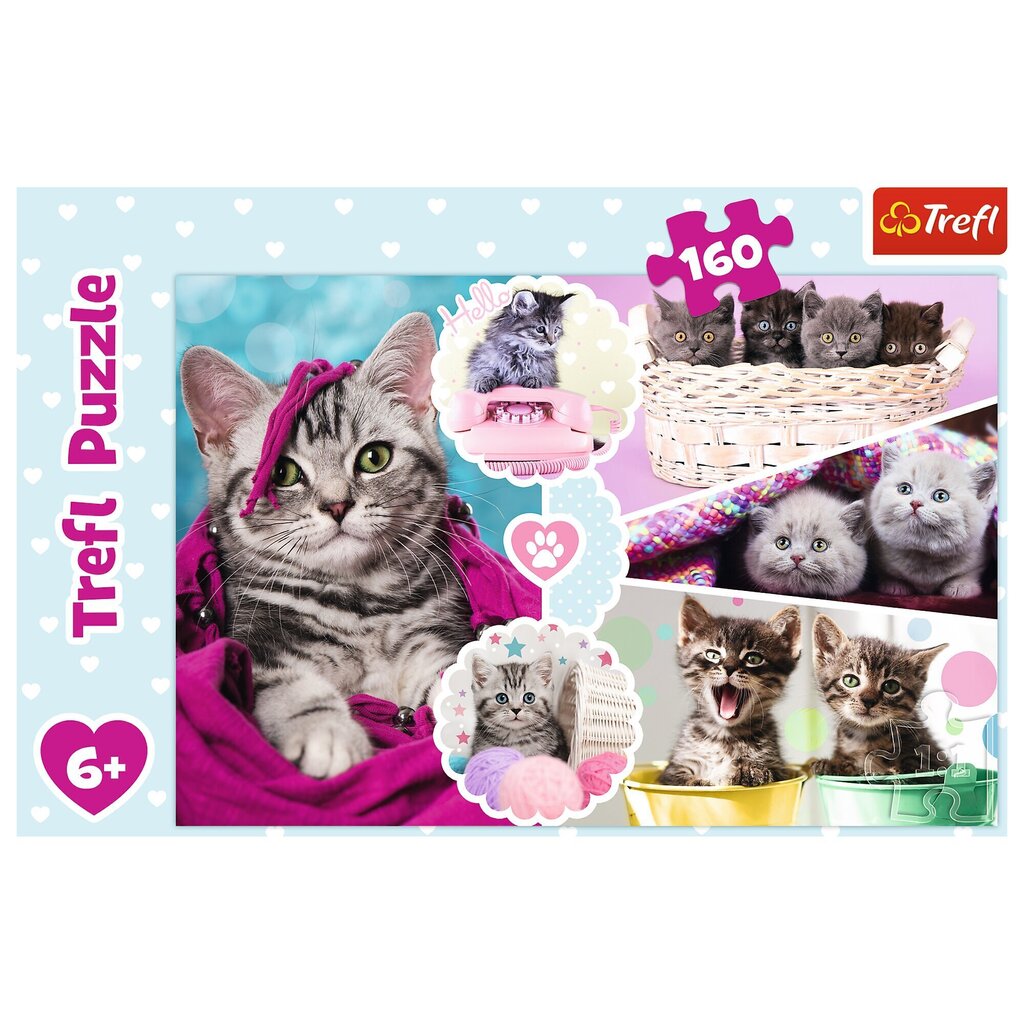 Puzle Trefl Cute Cats, 160 d. цена и информация | Puzles, 3D puzles | 220.lv