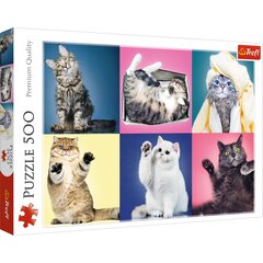 Puzle Trefl Kitten, 500 d. cena un informācija | Puzles, 3D puzles | 220.lv