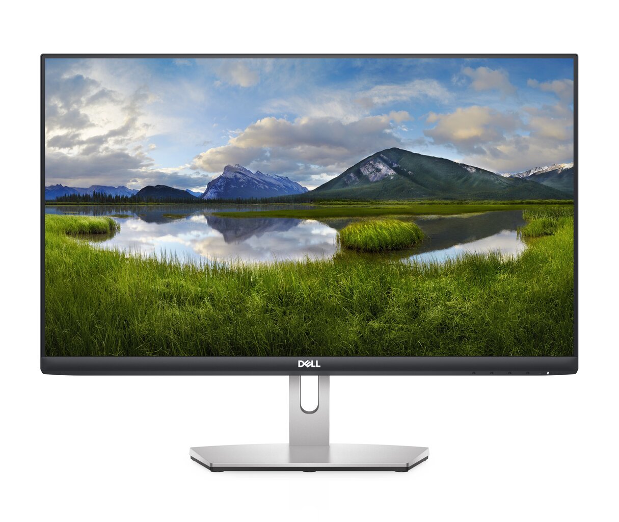 Dell S2421HN цена и информация | Monitori | 220.lv