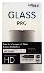 Tempered Glass PRO+ Premium 9H aizsargstikls, paredzēts Apple iPhone 11 цена и информация | Защитные пленки для телефонов | 220.lv