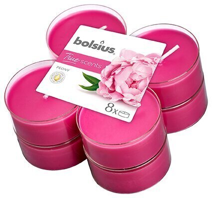 Aromātisko sveču komplekts Bolsius True Scents Peony, 8 gab цена и информация | Sveces un svečturi | 220.lv