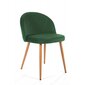 Ēdamistabas krēsls SJ.075, zaļš cena un informācija | Virtuves un ēdamistabas krēsli | 220.lv