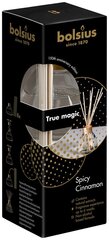 Аромат для дома Bolsius True Magic Spicy Cinnamon, 45 мл цена и информация | Ароматы для дома | 220.lv