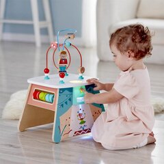 Активный куб Hape Light-Up Cirkus, E1813 цена и информация | Игрушки для малышей | 220.lv