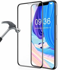 Tempered Glass 9D Aizsargstikls Pilnam Ekrānam Apple iPhone X / XS / 11 Pro Melns cena un informācija | Ekrāna aizsargstikli | 220.lv