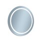 Spogulis ar apgaismojumu Venti Ring, sudrabainas krāsas cena un informācija | Vannas istabas spoguļi | 220.lv
