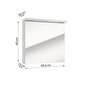 Vannas istabas skapītis ar spoguli Sensea Storm LED 60 1D, balts cena un informācija | Vannas istabas skapīši | 220.lv