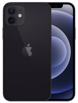 Apple iPhone 12 256GB Black MGJG3ET/A цена и информация | Mobilie telefoni | 220.lv