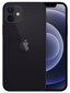 Apple iPhone 12 256GB Black MGJG3ET/A цена и информация | Mobilie telefoni | 220.lv