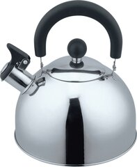 Aurora AU622 чайник цена и информация | Aurora Кухонные товары, товары для домашнего хозяйства | 220.lv
