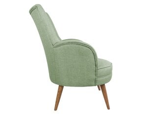 Кресло Artie Victoria, зеленое цена и информация | Кресла в гостиную | 220.lv