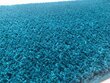 Paklājs Shaggy Kamel Sea, 120x170 cm cena un informācija | Paklāji | 220.lv