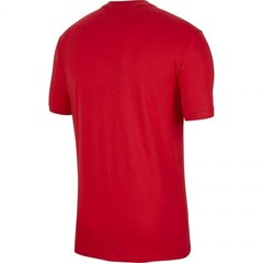 Мужская спортивная футболка Nike Poland TEE Evergreen Crest M CU9191 611, 54241, красная цена и информация | Мужская спортивная одежда | 220.lv