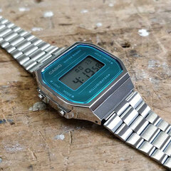 Женские часы Casio Collection A168WEM-2 цена и информация | Женские часы | 220.lv