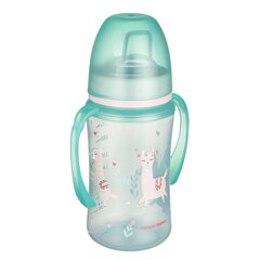 Пустышки симметричные силиконовые Canpol babies Pure Color 6-18 мес., 2 шт., 22/645 blue цена и информация | Бутылочки и аксессуары | 220.lv