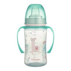 Пустышки симметричные силиконовые Canpol babies Pure Color 6-18 мес., 2 шт., 22/645 blue цена и информация | Бутылочки и аксессуары | 220.lv