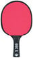 Galda tenisa rakete Donic-Schildkrot Line S300 цена и информация | Galda tenisa raketes, somas un komplekti | 220.lv