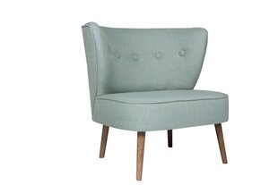 Кресло Artie Bienville, светло-зеленое цена и информация | Кресла в гостиную | 220.lv