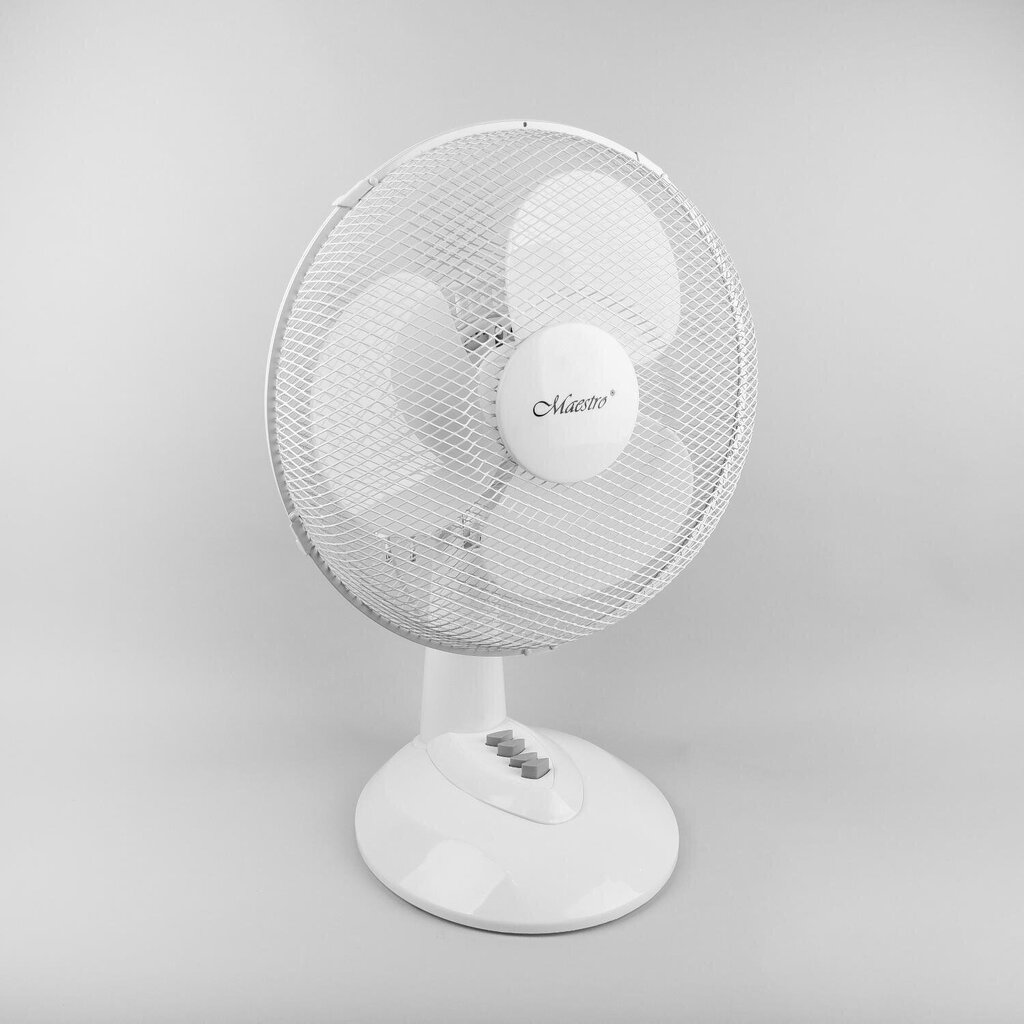 Ventilators, Maestro MR-904 cena un informācija | Ventilatori | 220.lv