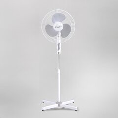 Ventilators, Maestro MR-900 cena un informācija | Ventilatori | 220.lv