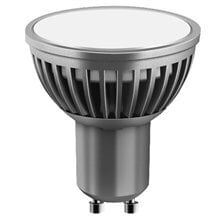 ACME LED SMD лампочка 3W40h5000KGU10 цена и информация | Лампочки | 220.lv