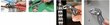 Knipex cauruļu knaibles Cobra® XXL 560 mm (87 01 560) cena un informācija | Rokas instrumenti | 220.lv